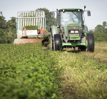 L'agro-écologie c'est quoi ?